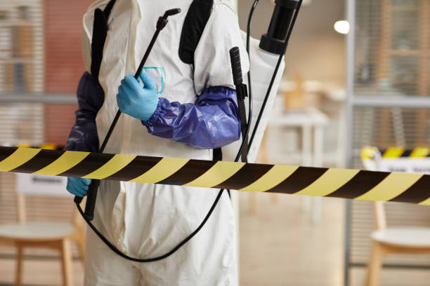 Professional Odor Removal technician working in Malaga, NJ